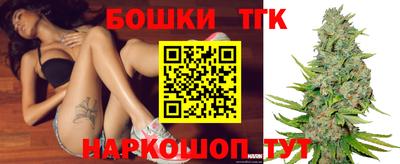 индика Конаково
